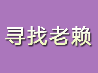 东平寻找老赖